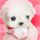 美女与野兽